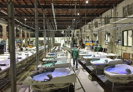 Foshan Nanhai Sannora Sanitary Ware Co., Ltd. línea de producción del fabricante
